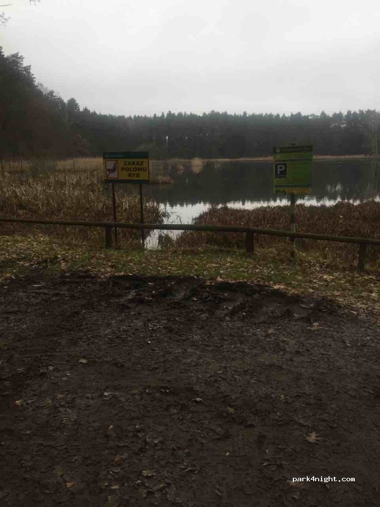 (86-160) Płochocin - Droga Wojewódzka 238 — foto 2