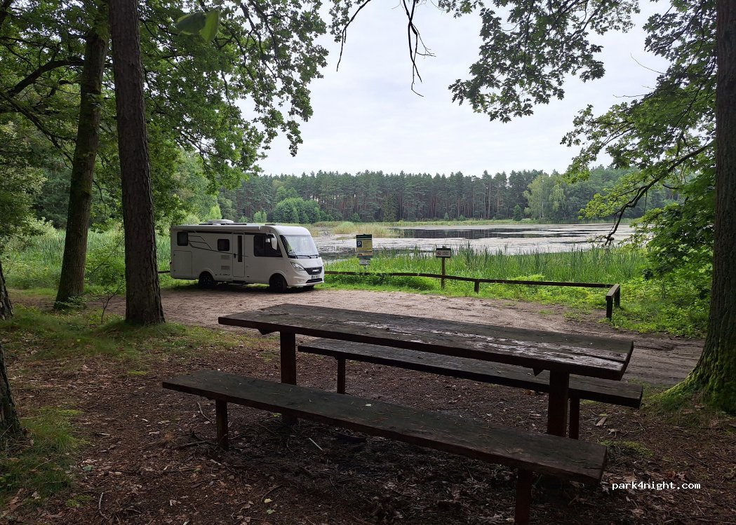 (86-160) Płochocin - Droga Wojewódzka 238 — foto 4