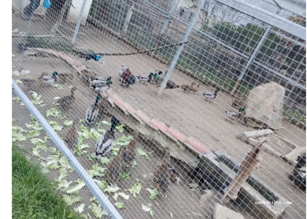 The Ferme de Failloux — foto 4