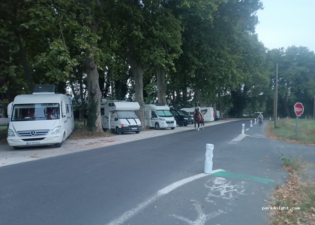 (66750) Saint-Cyprien, Pyrénées-Orientales - D81 — foto 4