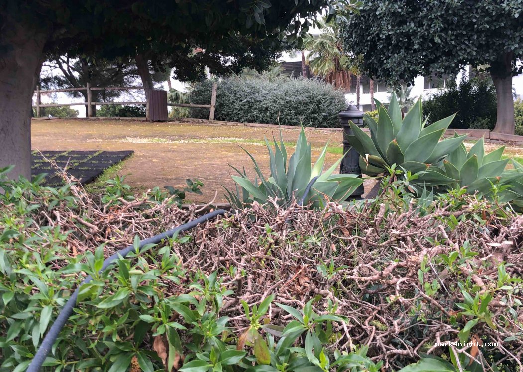 (29693) Estepona - 453 Calle las Camelias — foto 3