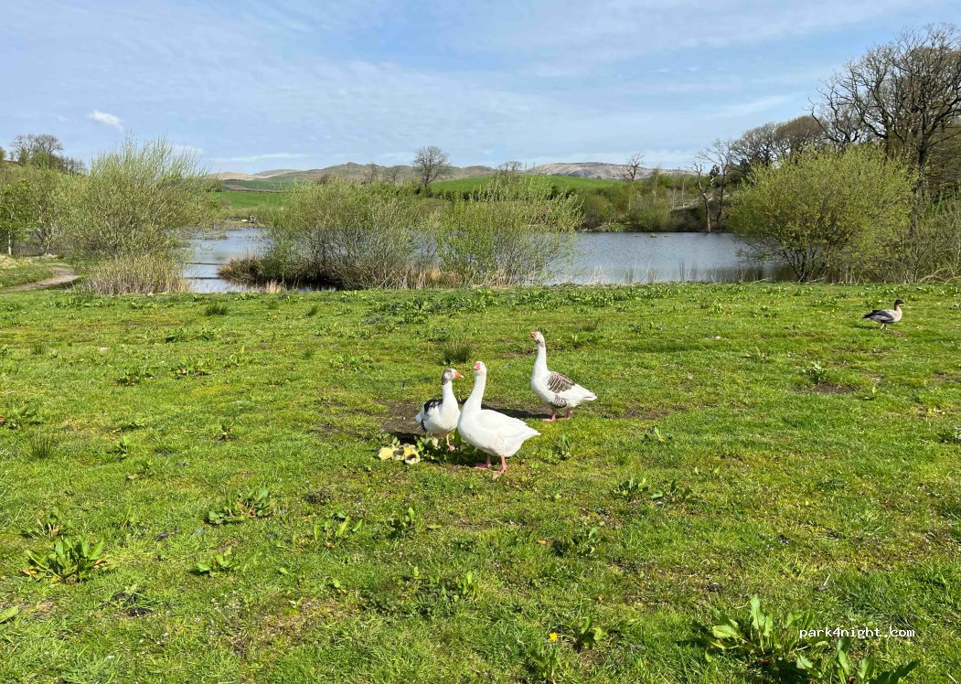 High Thorn Farm — foto 2