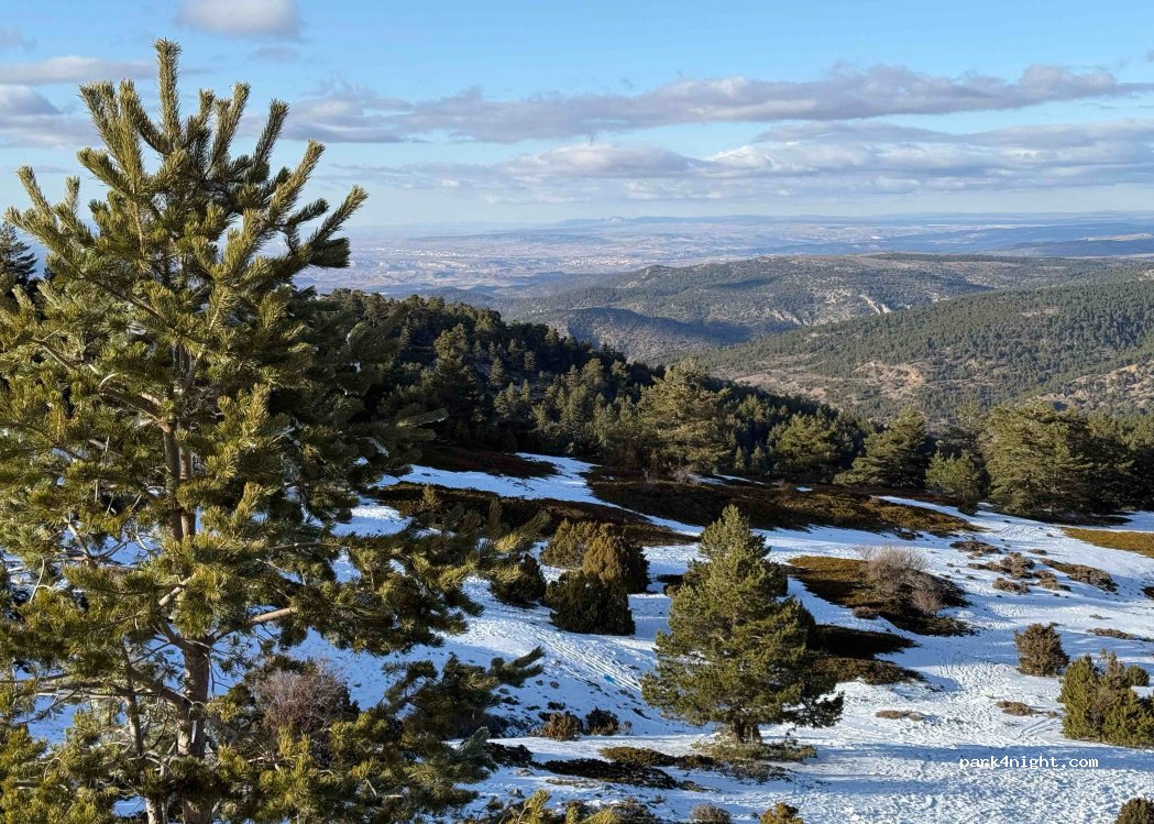 (44459) Camarena de la Sierra - Carretera Forestal Pico de Javalambre — foto 3