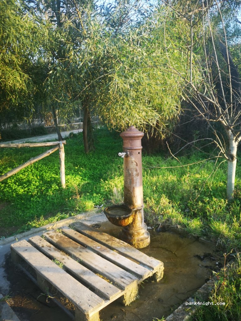 (72017) Rosa Marina - Pilone — foto 2