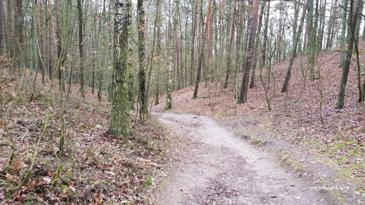 (62-004) Czerwonak - 4 Dziewicza Góra — foto 3