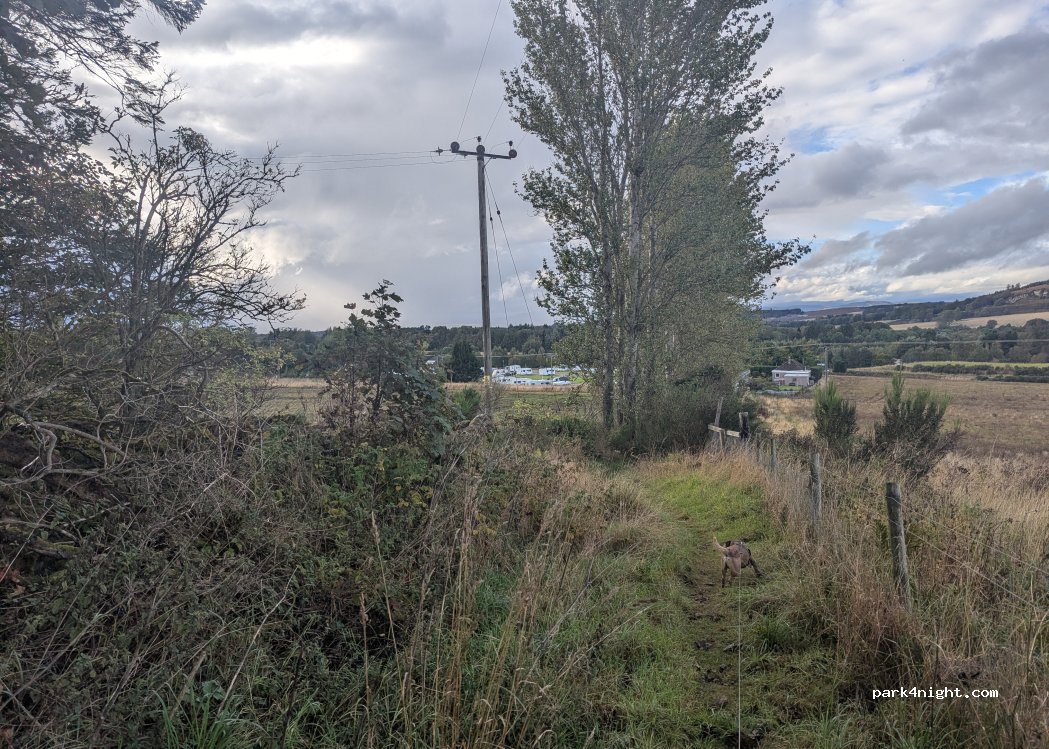 Foresterseat Caravan Park — foto 5