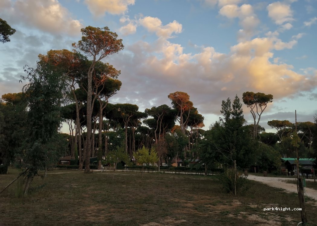 ISOLA VERDE Camping Village - Nettuno — foto