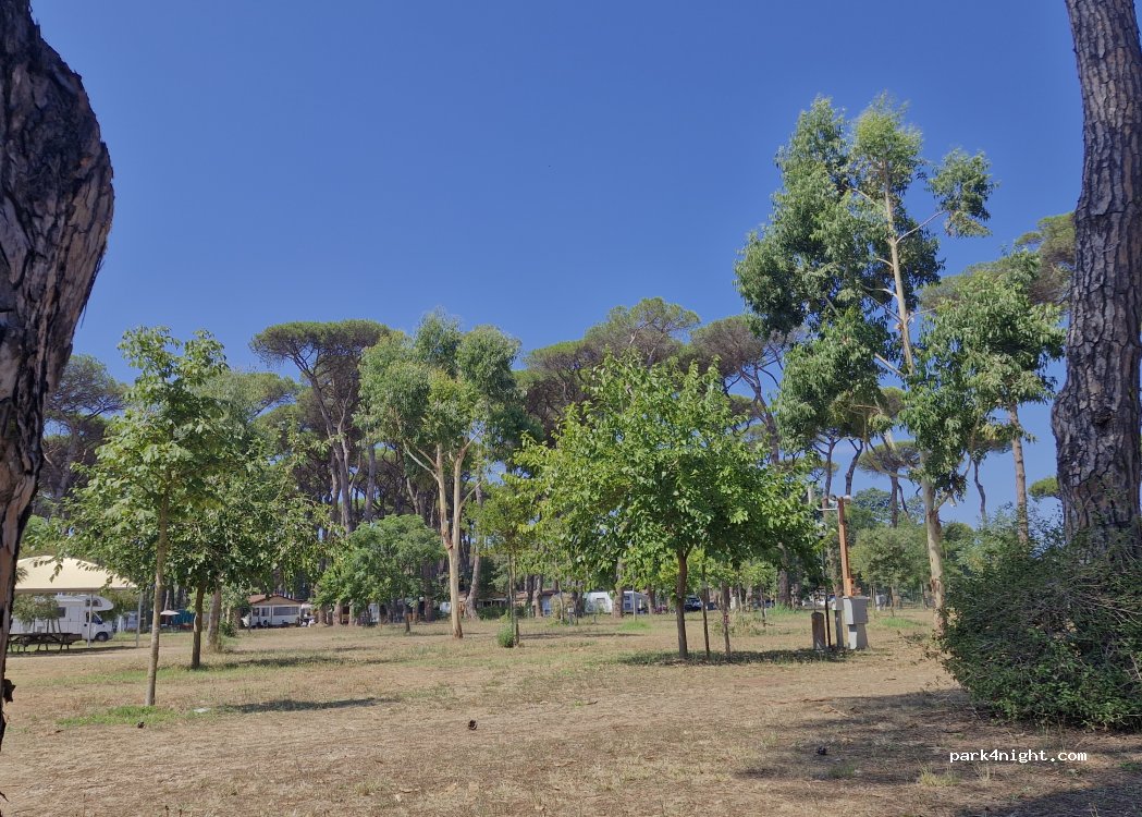ISOLA VERDE Camping Village - Nettuno — foto 2