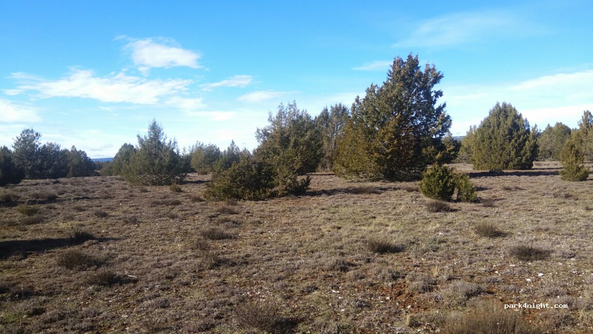 (42192) Villaciervos - Camino de La Cuenca a Villaciervos — foto 2