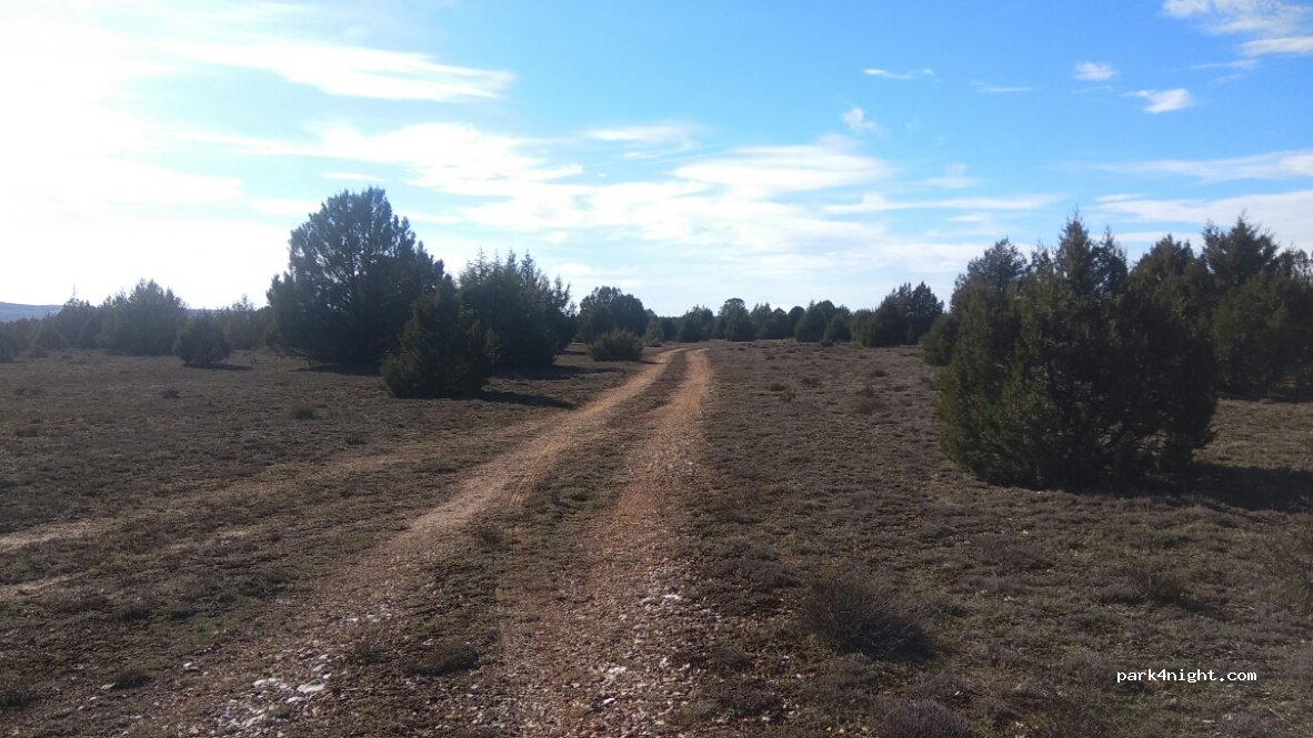 (42192) Villaciervos - Camino de La Cuenca a Villaciervos — foto 3