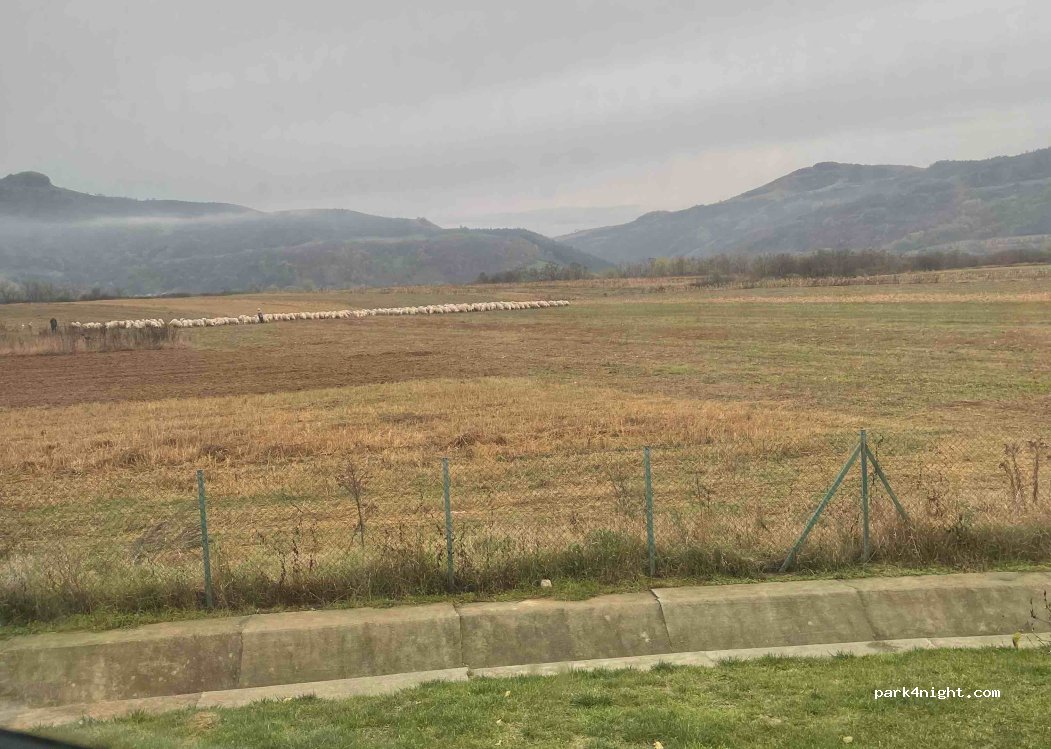 ()  - DN1C — foto 3