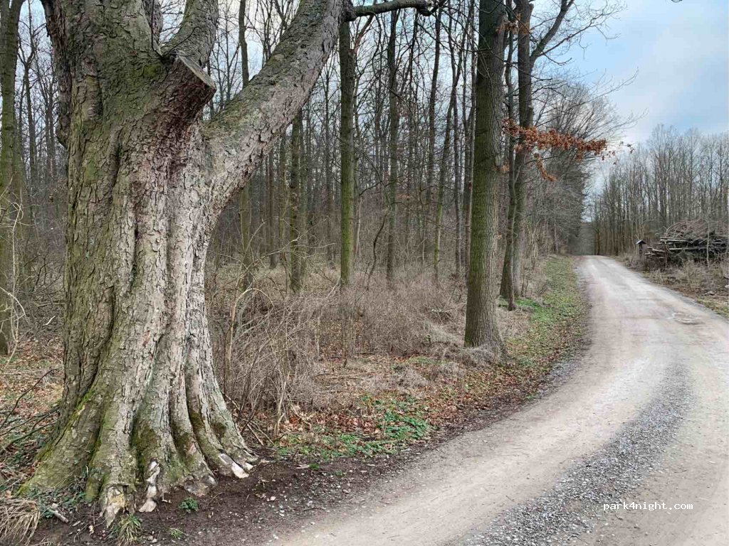 (99094) Erfurt - Eichenbergweg — foto 3