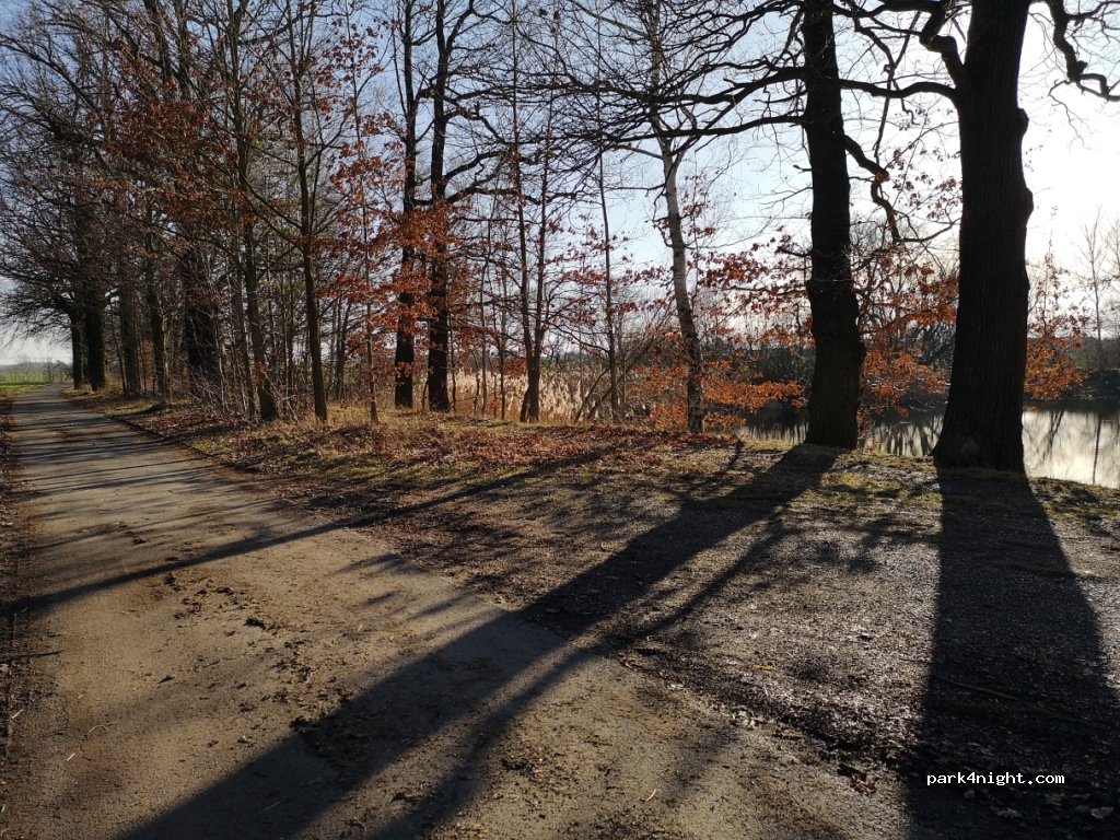 (04687) Trebsen/Mulde - Unnamed Road — foto