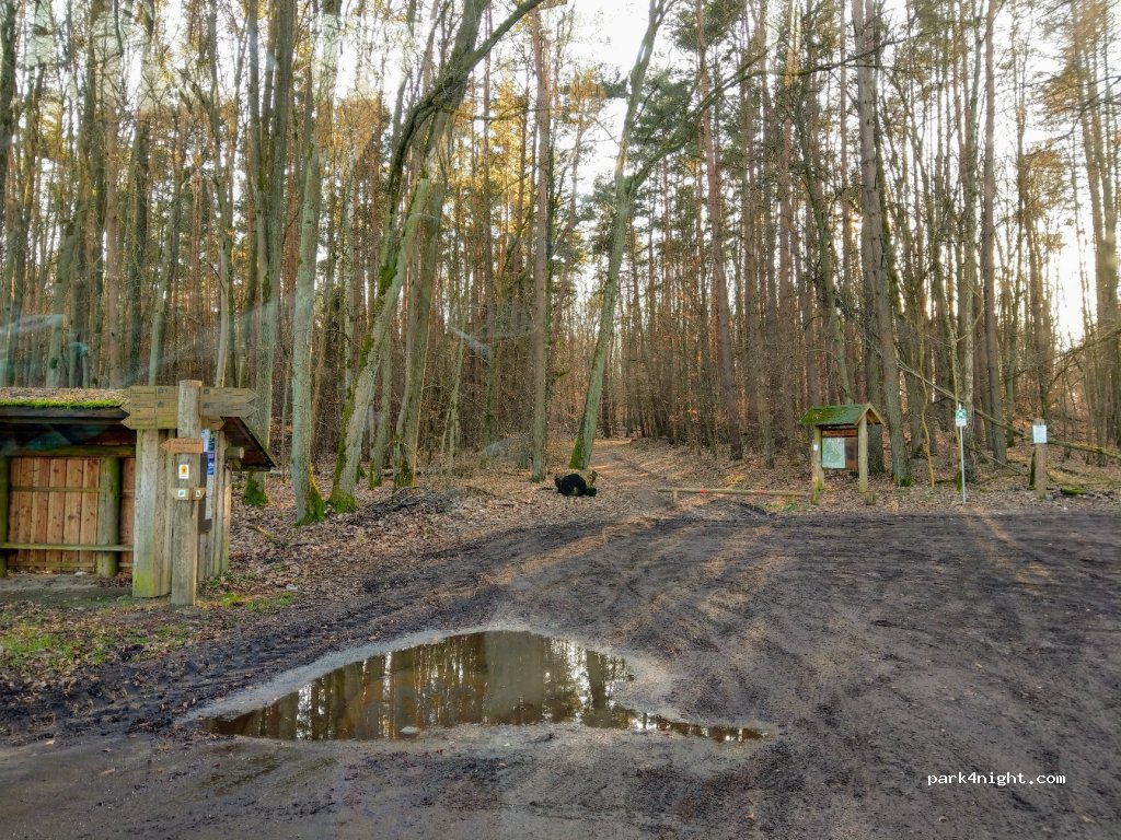 (17237) Carpin - 42 Hauptstraße — foto