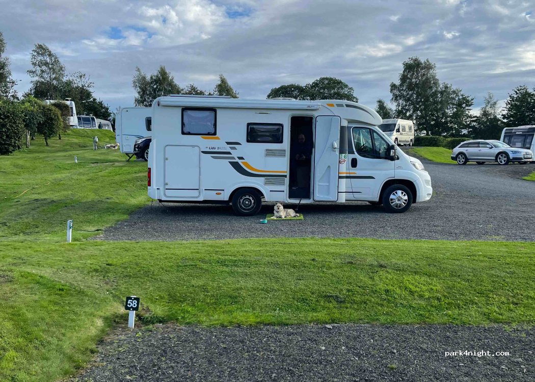 The Woods Caravan Park — foto 4