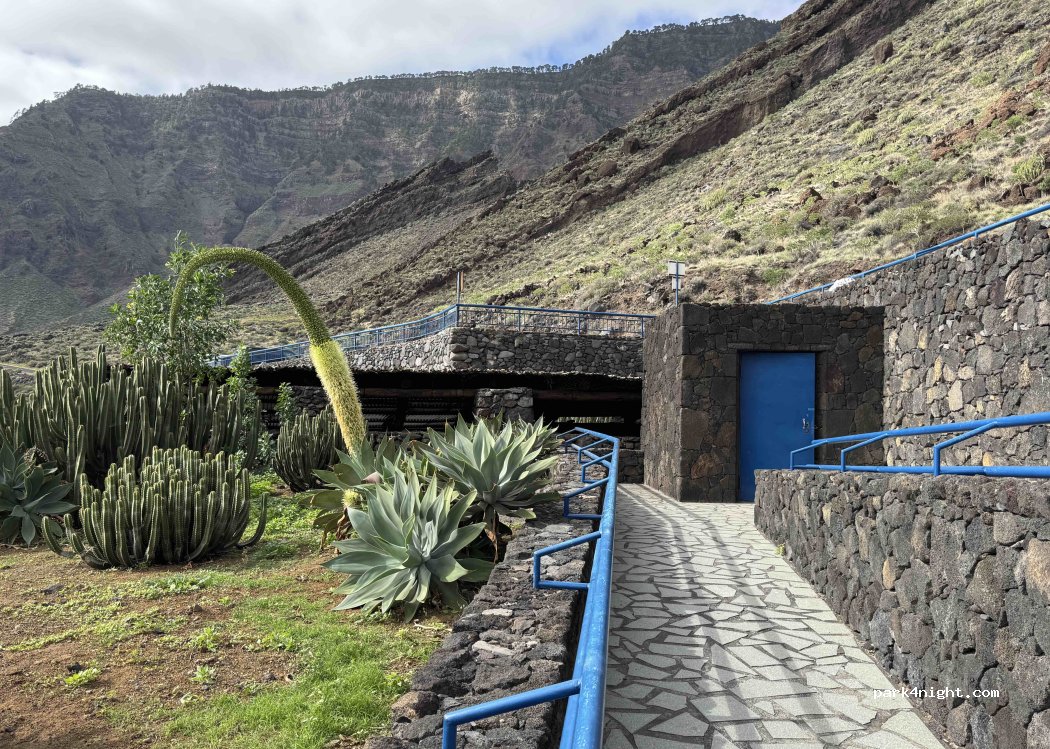 (38910) Santa Cruz de Tenerife - — foto 4