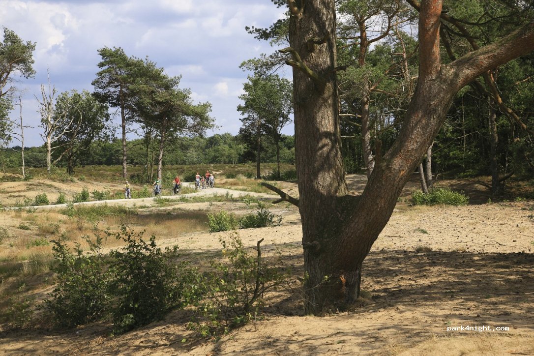 Camping Waldsang — foto 2