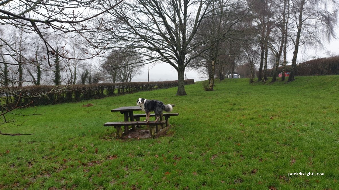 (LD3 7JQ) Brecon - — foto 3