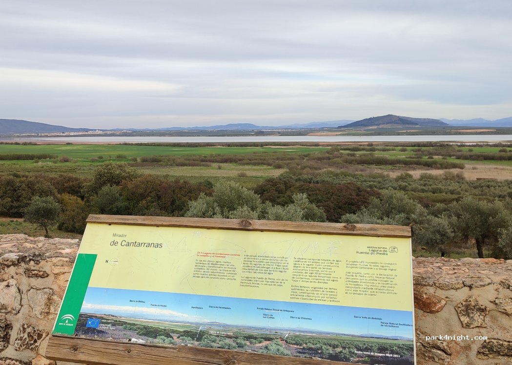 (29520) Fuente de Piedra - Carretera del Cortijo de la Herriza — foto 2