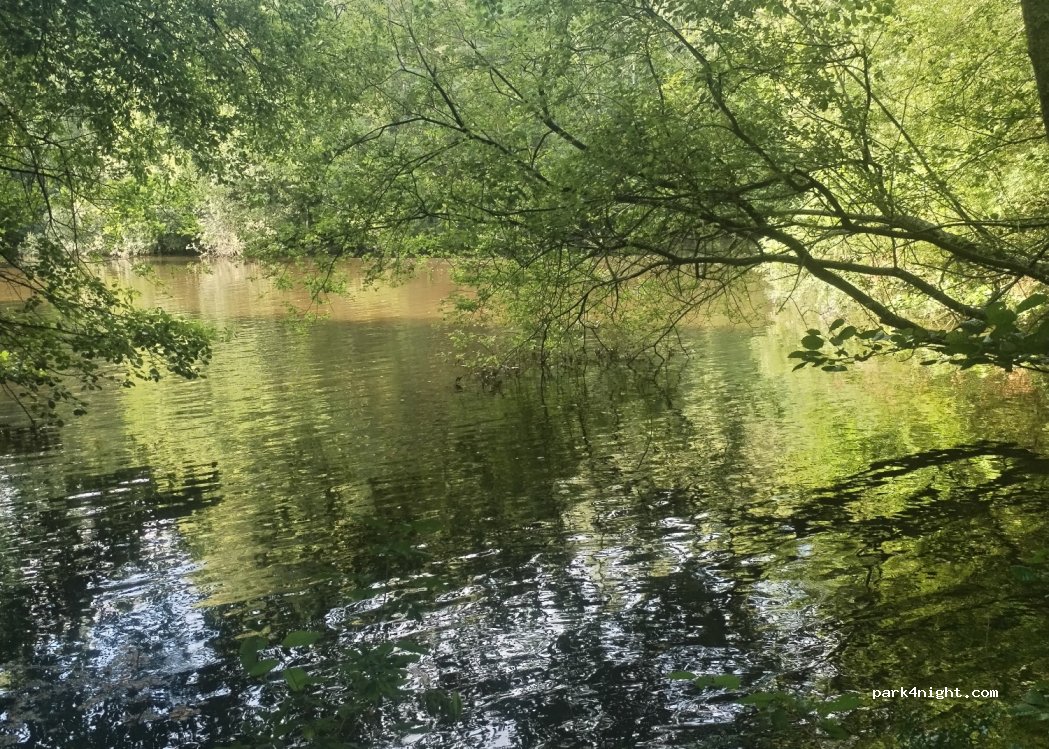 Camping Aux prés d'Ecouves — foto