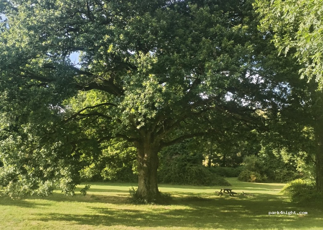 Camping Aux prés d'Ecouves — foto 2