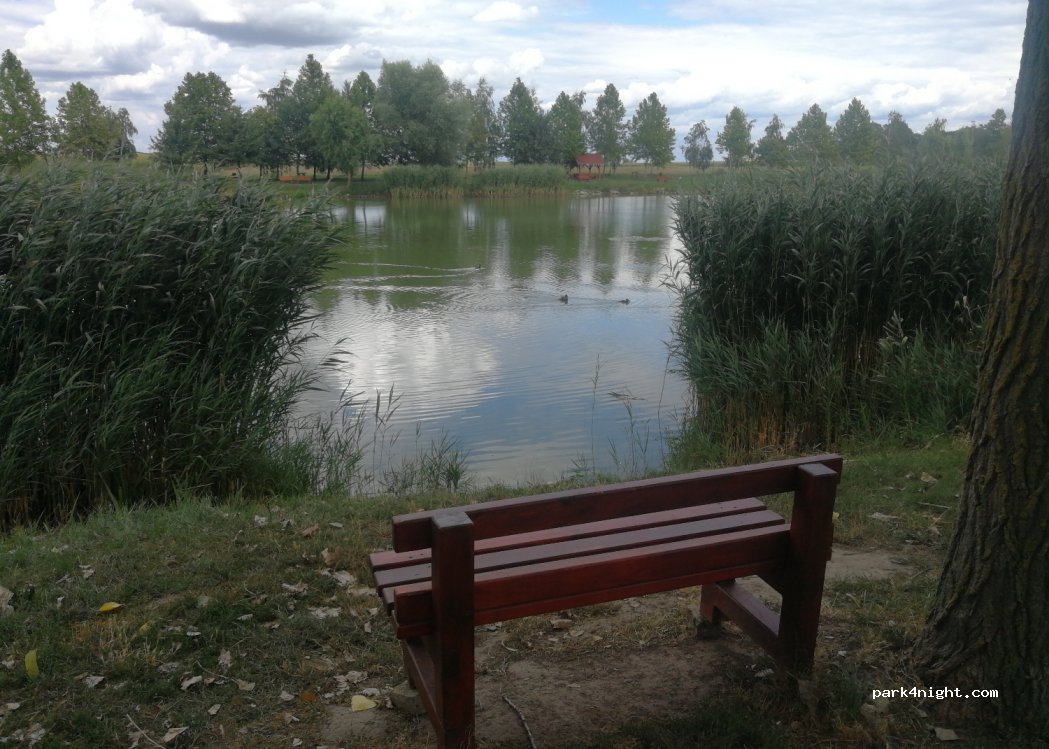 (6447) Felsőszentiván - 2 Szabadság utca — foto 2