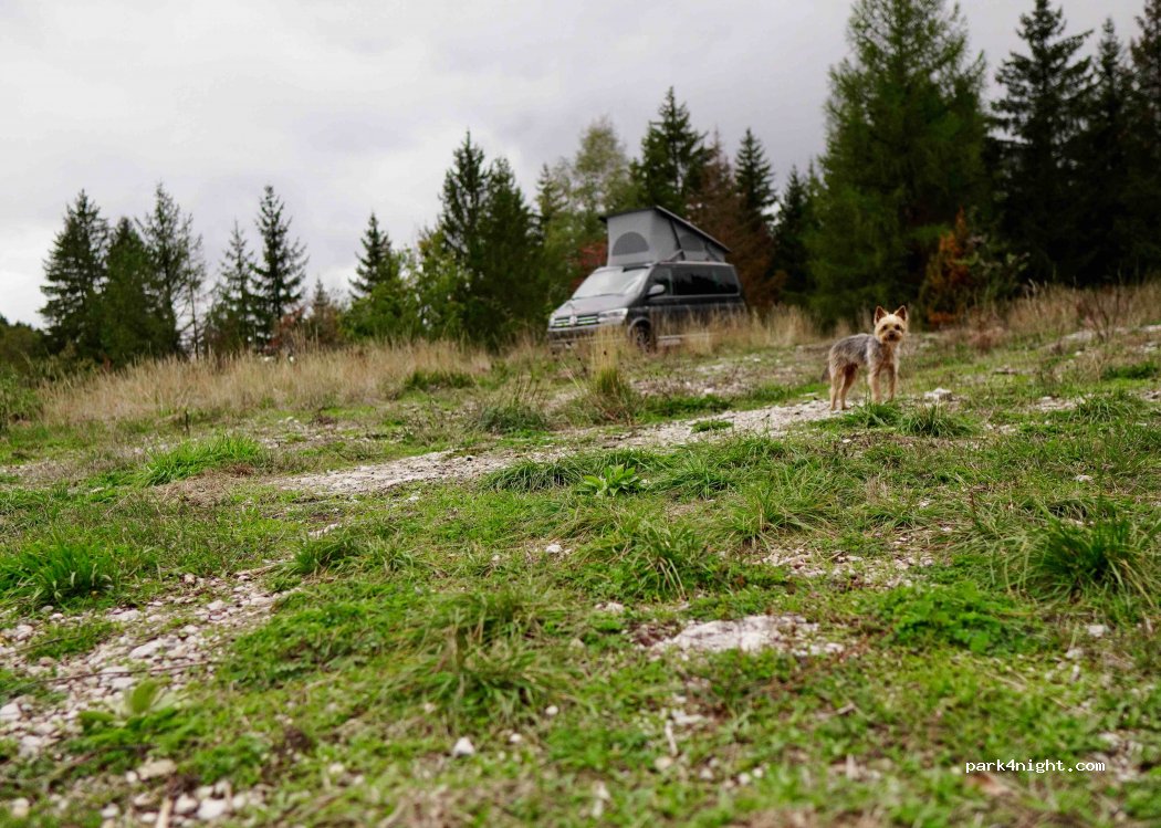 (39310) Septmoncel - Le Replan — foto 2