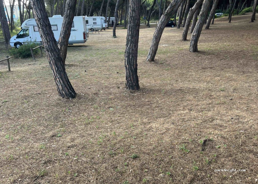 (58100) Marina di Grosseto - 6 Via della Letizia — foto 2