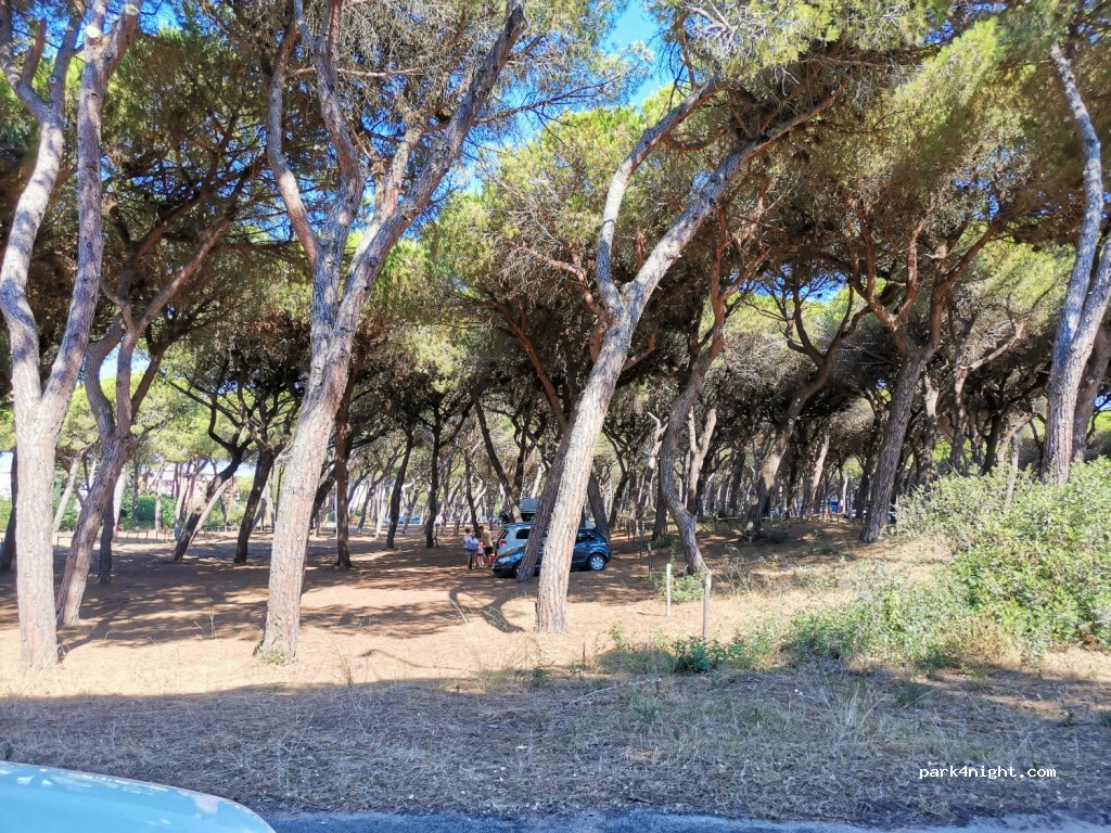 (58100) Marina di Grosseto - 6 Via della Letizia — foto 4