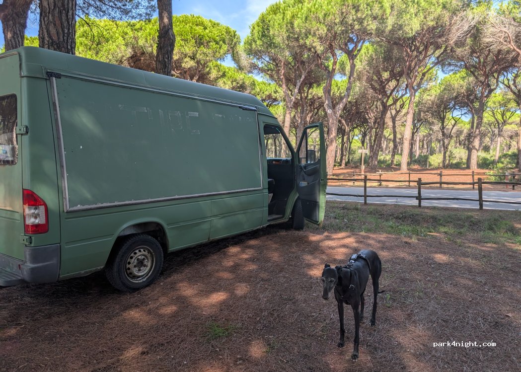(58100) Marina di Grosseto - 6 Via della Letizia — foto 5