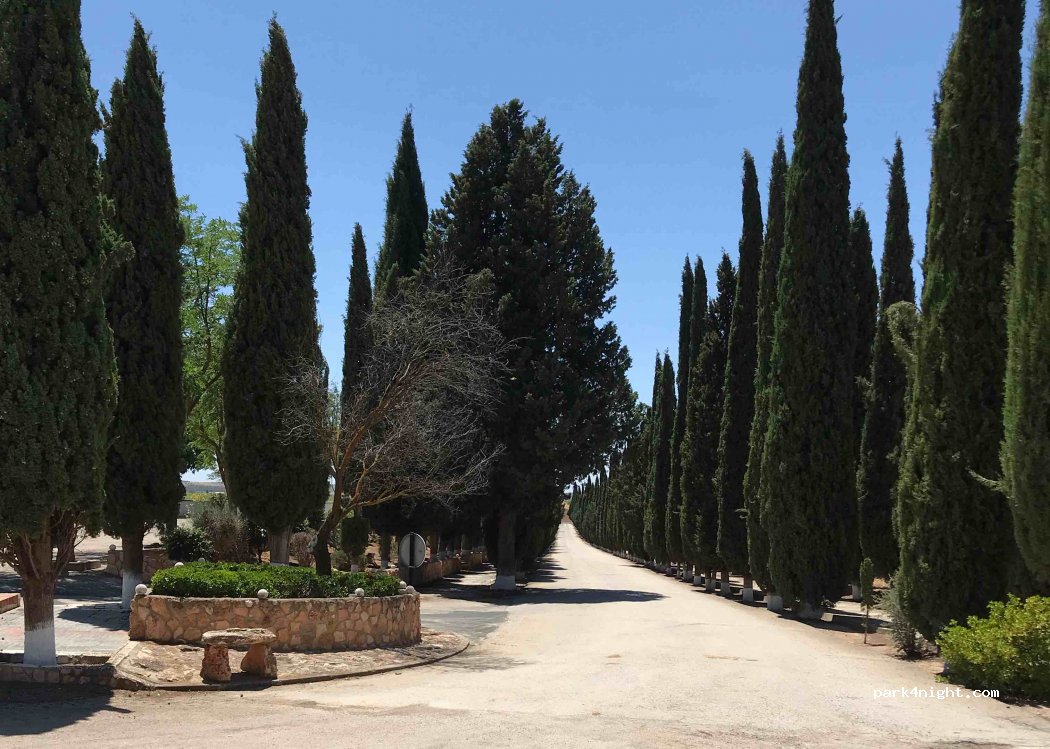 (13300) Valdepeñas - Paseo del Cementerio — foto 4