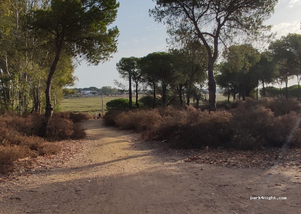 (21122) Aljaraque - 7 Diseminado Punta Umbria Cr — foto 3