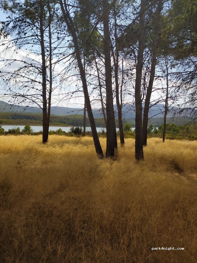 (46367) Yátova - Unnamed Road — foto 2