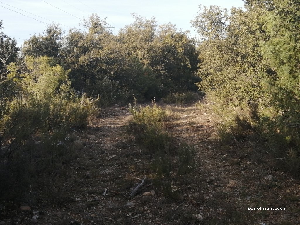 (22585) Tolva - Unnamed Road — foto 2