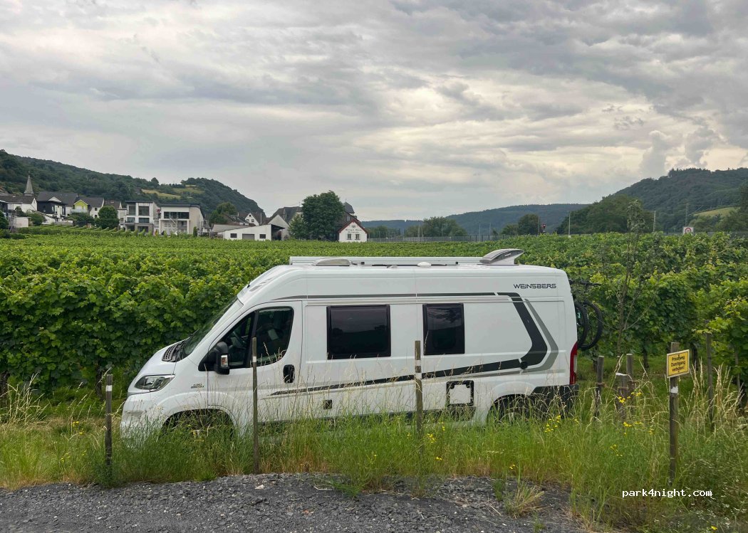 Hotel Weinhaus Emmel — foto 4