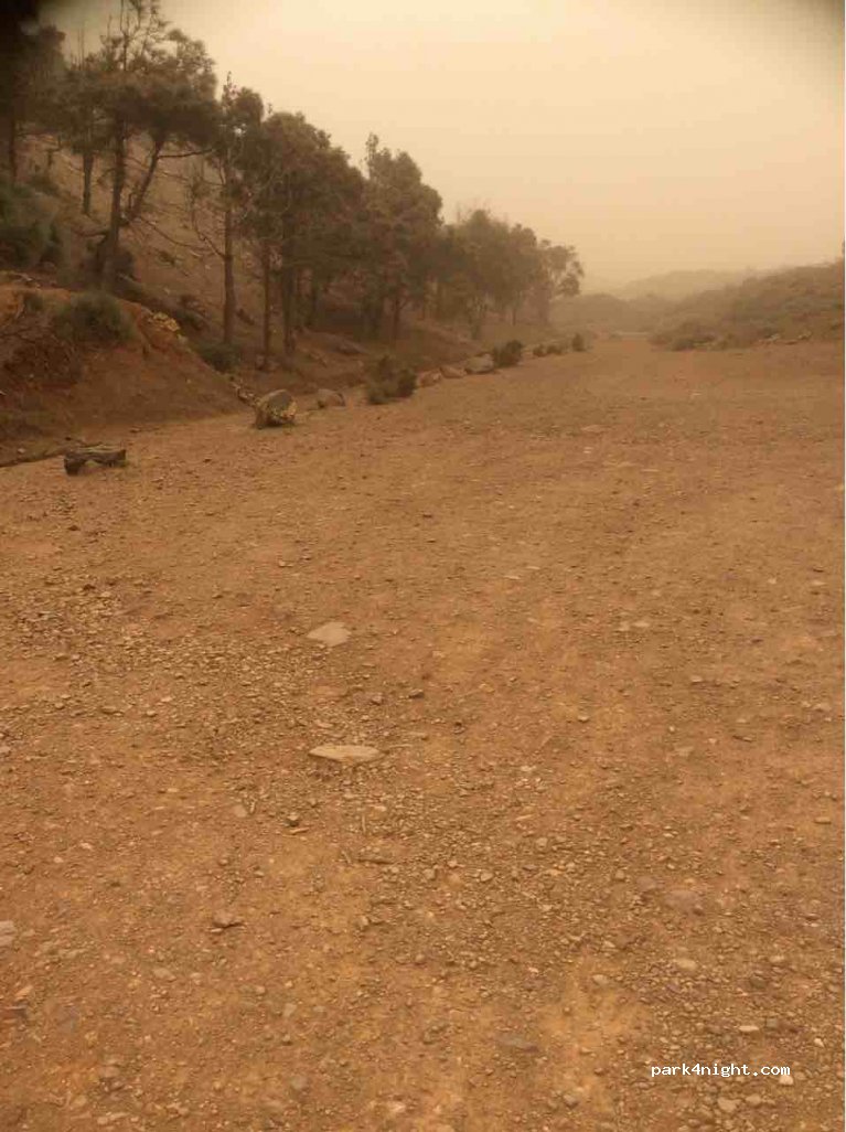 (35637) Betancuria - El Pinar — foto 2