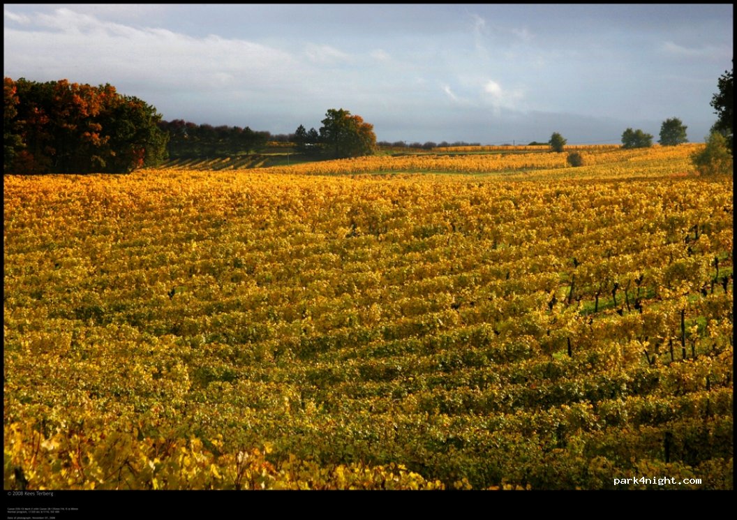 Domaine de Grange Neuve — foto 3