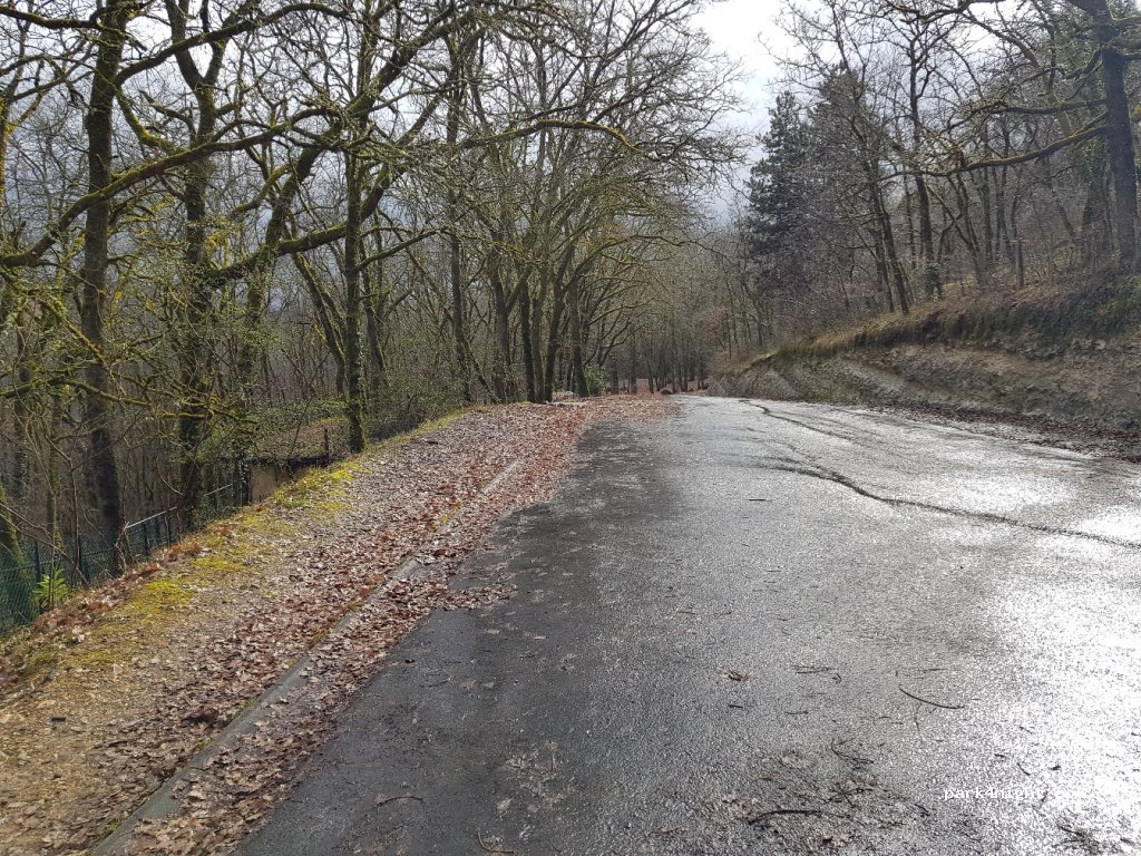 (24580) Rouffignac-Saint-Cernin-de-Reilhac - Grandville — foto 2