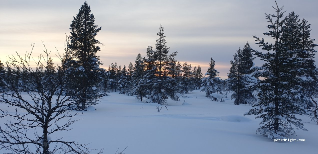 Suomen Latu Kiilopää/Fell Centre Kiilopää — foto 3