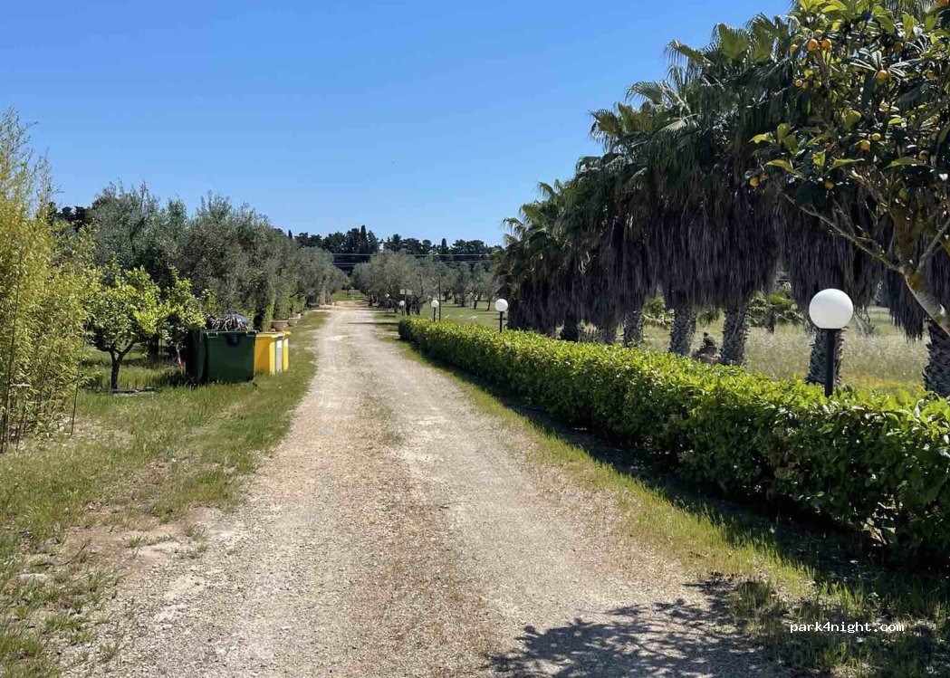 Agricamping 2 Palme — foto 4