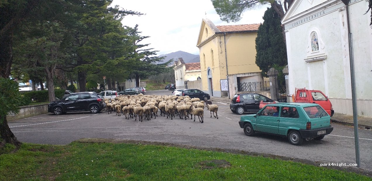 (84096) Montecorvino Rovella - 1 Strada Comunale Ravello Annunziata — foto 4