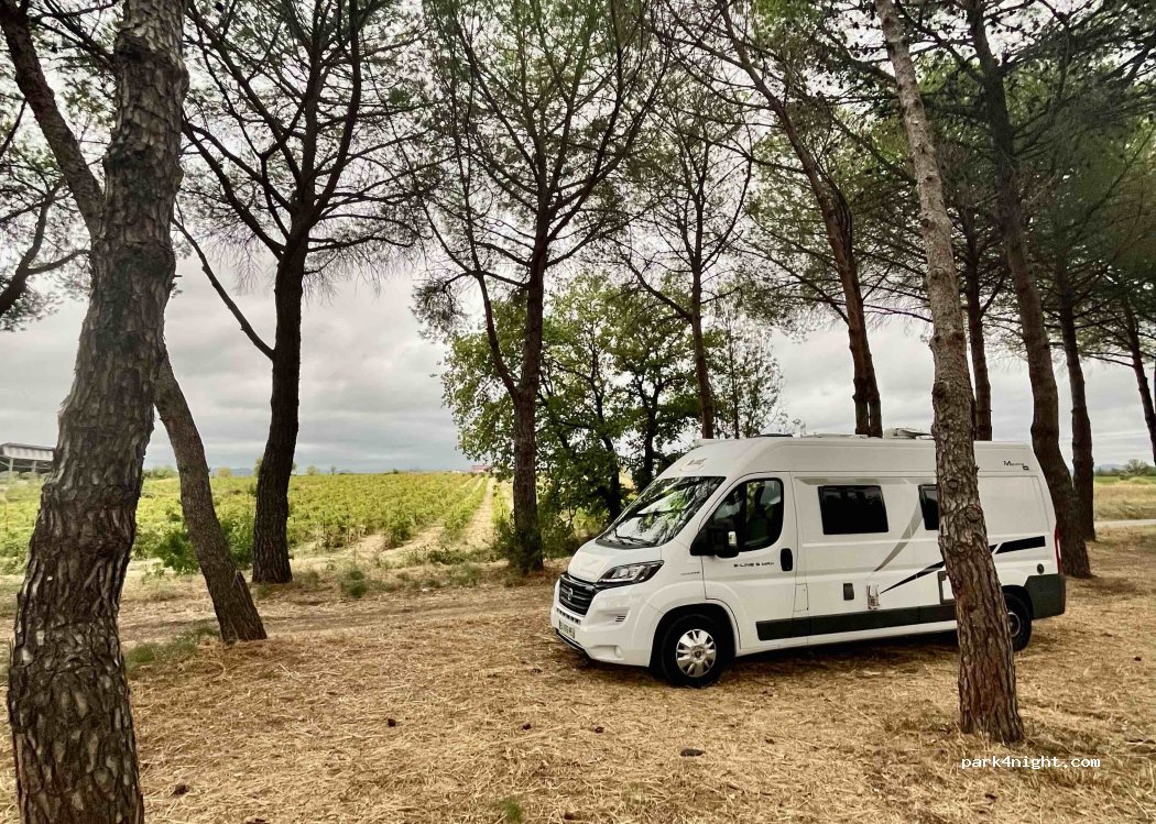 (34480) Saint-Génies-de-Fontedit - 1 Chemin de Montaury — foto 2