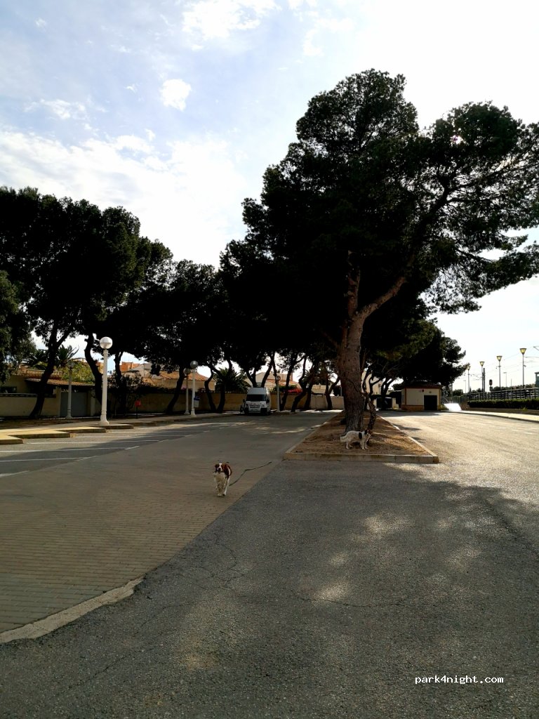 (03560) El Campello - 9 cimetiere carrer dels pins — foto 2