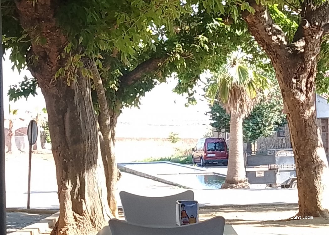 (14290) Fuente Obejuna - 1 Paseo Fuente Nueva — foto 4