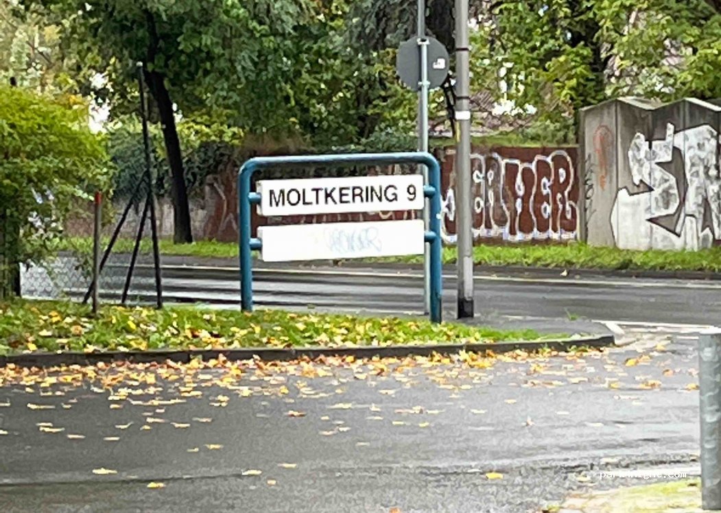 (65189) Wiesbaden - 51 Moltkering — foto 2
