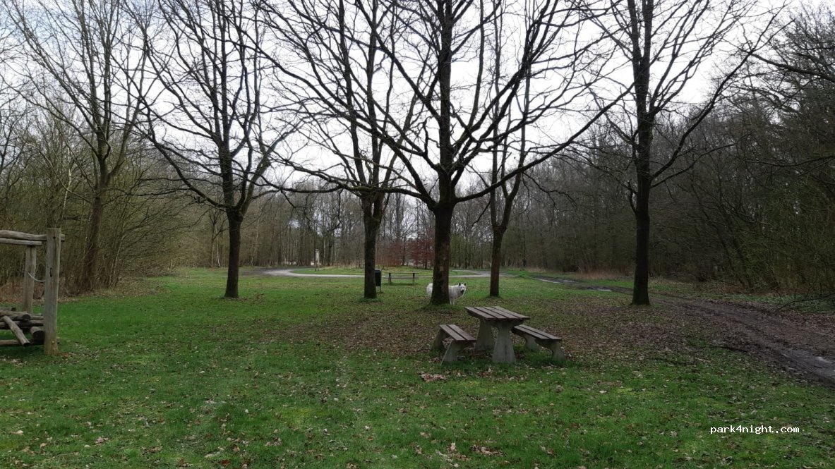 (9467 PN) Anloo - 2 Bosweg — foto