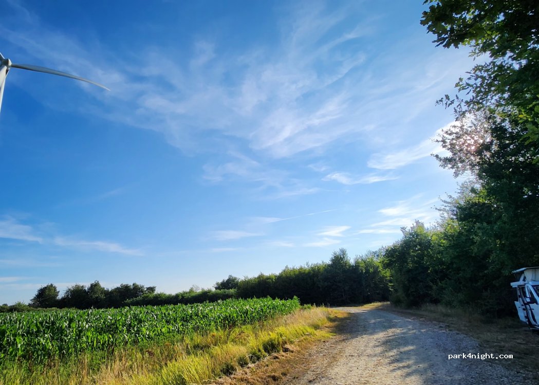 (38270) Lentiol - 1227 Chemin Farabay — foto 3