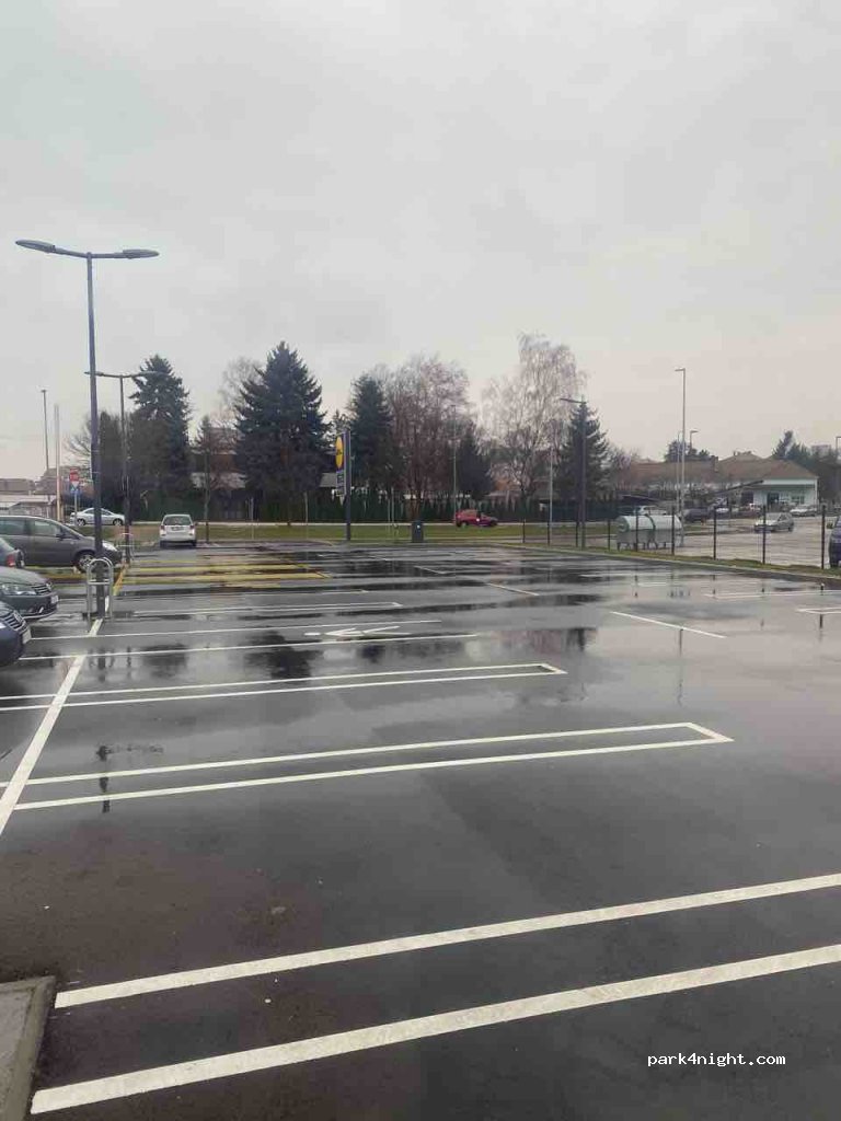 (18300) Pirot - 38 — foto