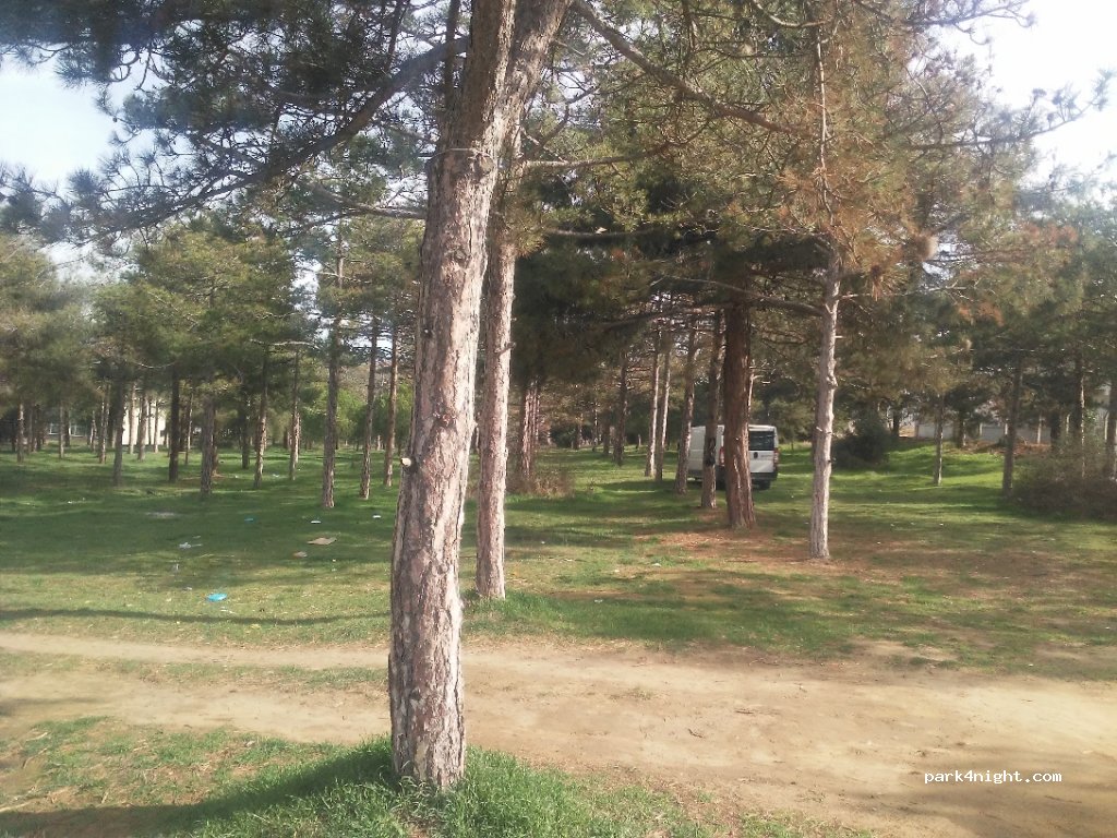 (34570) İstanbul - 16 Selvi Sokak — foto