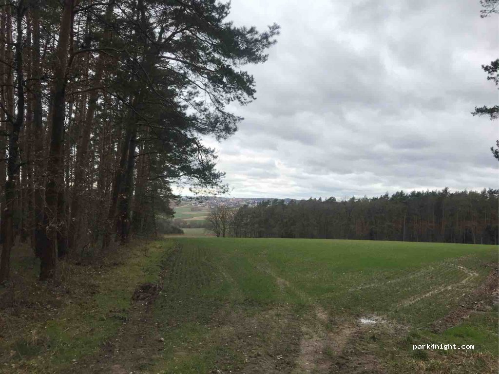 (93138) Lappersdorf - Unnamed Road — foto 2